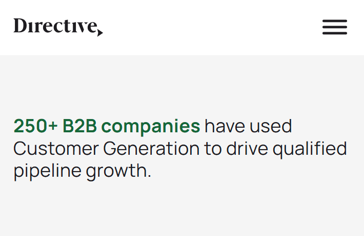 Directive Marketing Case Studies for B2B Companies