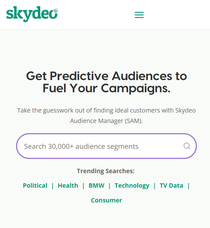 Sentic Skydeo Case Study B2B AEO Growth